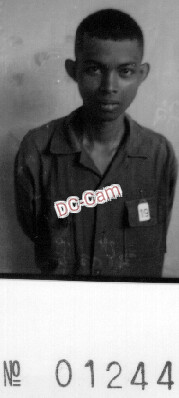 វី សារុំ