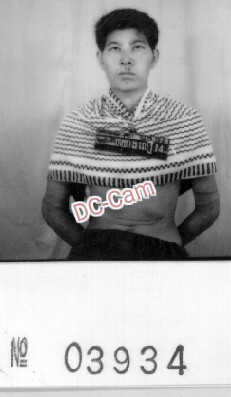 ហា វ៉ាន់លូ