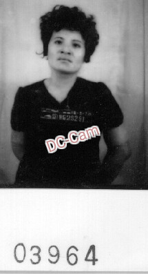 ផា ធីឃិន