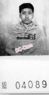 ប៊ិន លស់